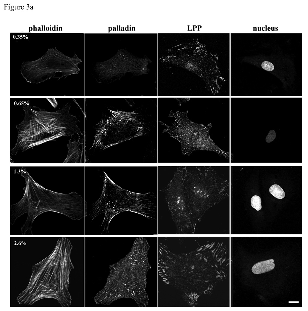 Figure3