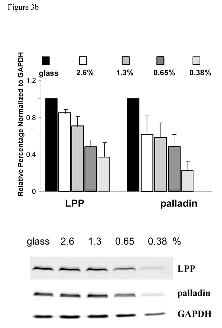 Figure3