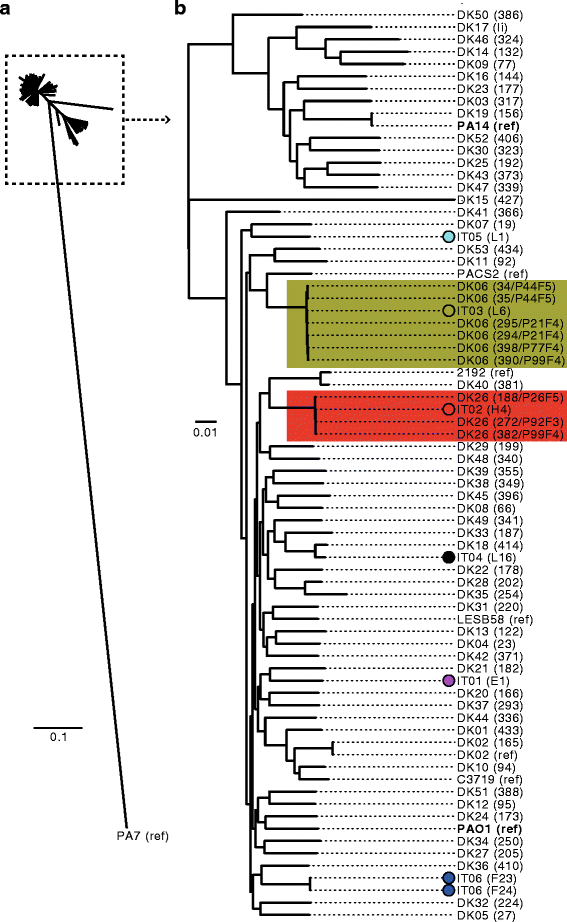 Fig. 3