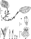 Figure 8.