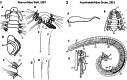 Figures 1, 2.