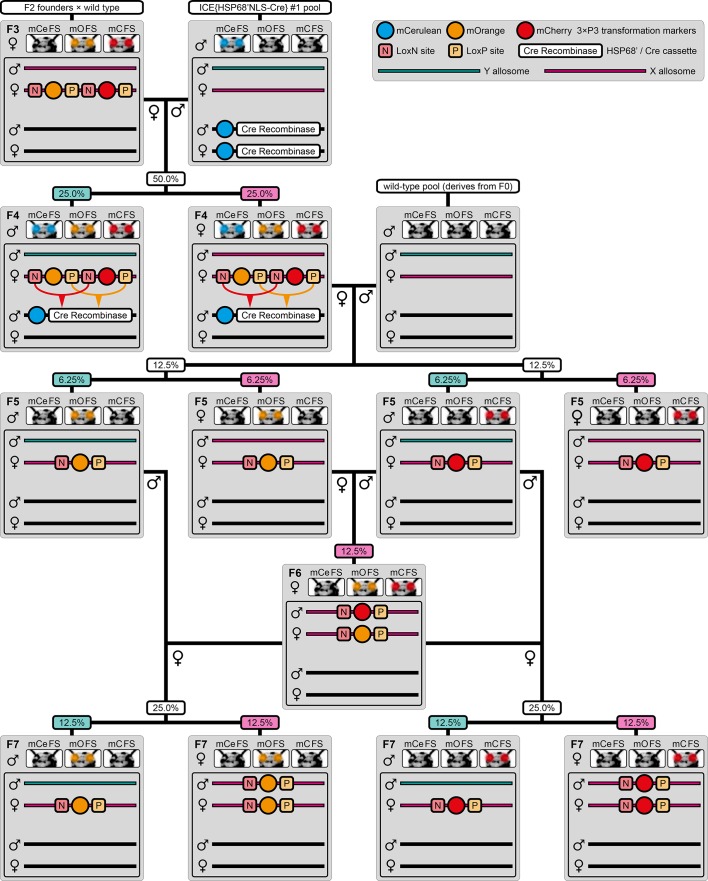 Figure 2—figure supplement 2.