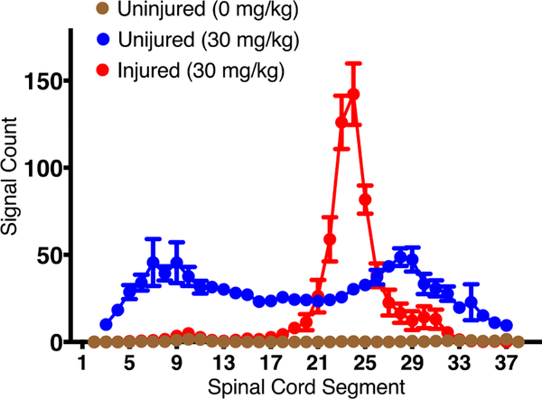 Figure 3: