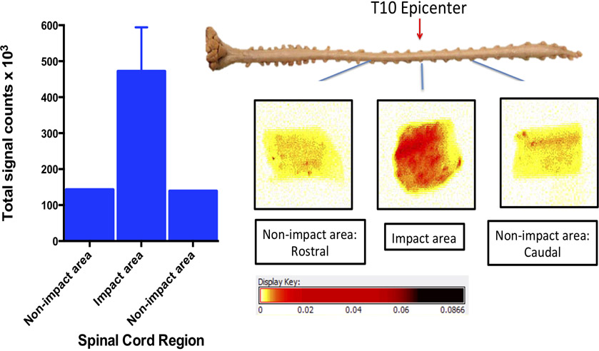 Figure 7: