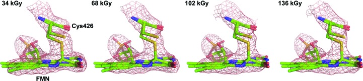 Figure 9