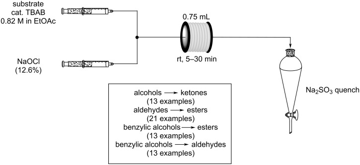 Scheme 81