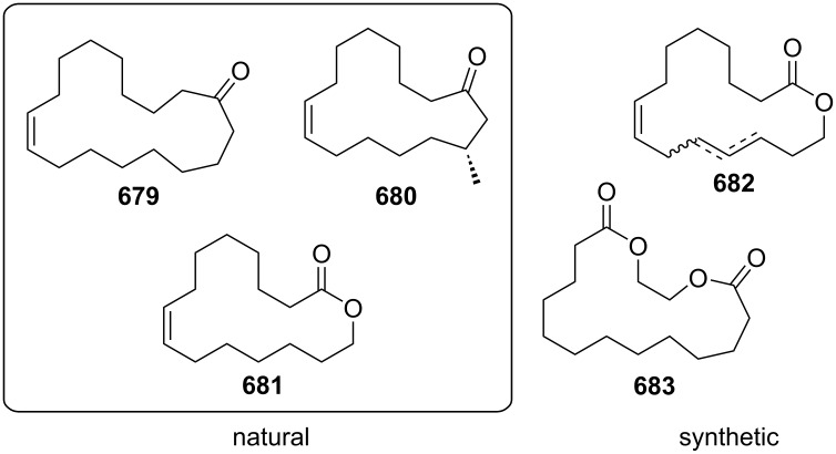 Scheme 162