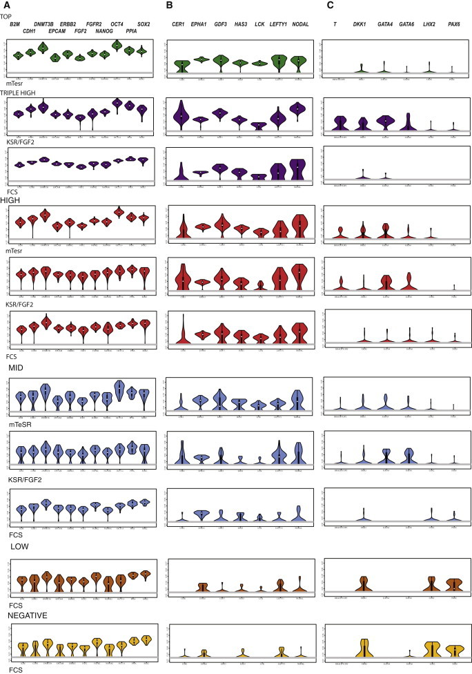 Figure 3