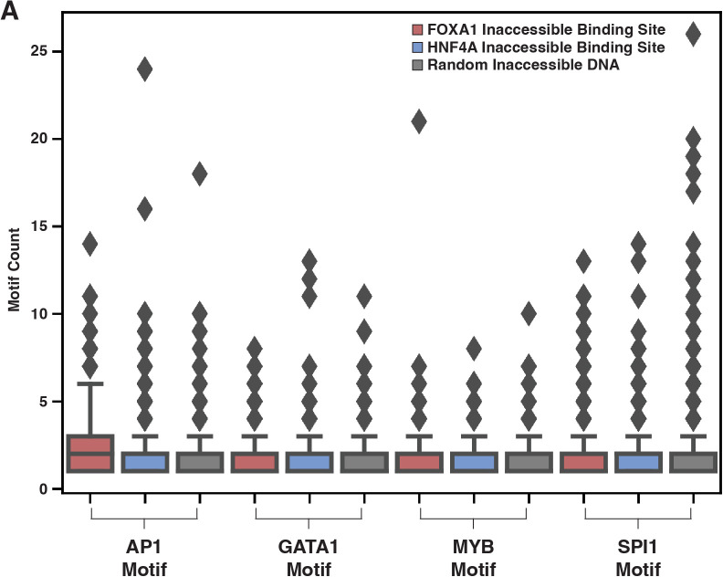 Figure 3—figure supplement 2.