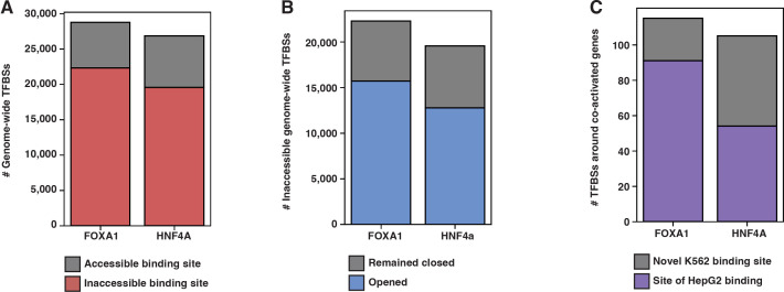 Figure 1—figure supplement 2.