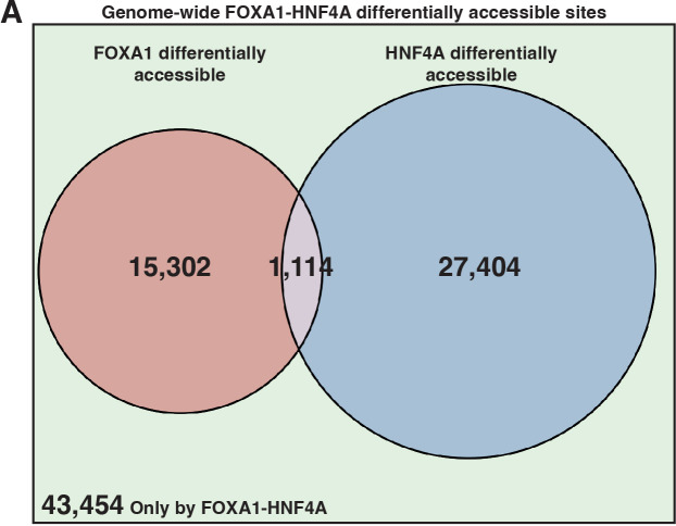 Figure 4—figure supplement 1.