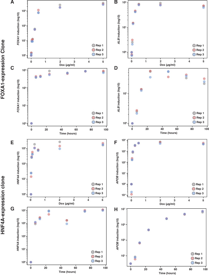 Figure 1—figure supplement 1.