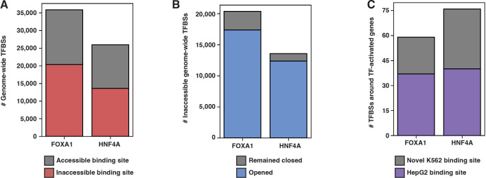 Figure 3—figure supplement 1.