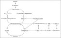 Fig 2.