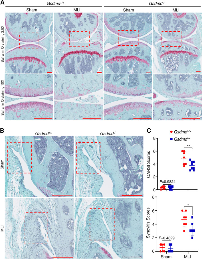 Fig. 4