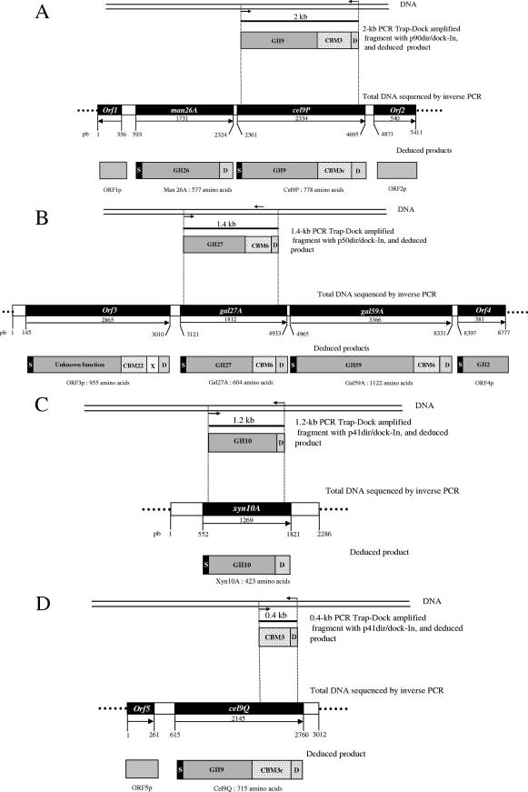 FIG. 2.