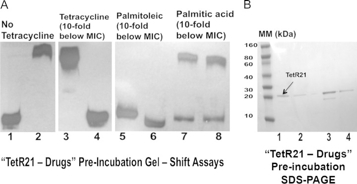 FIG 2