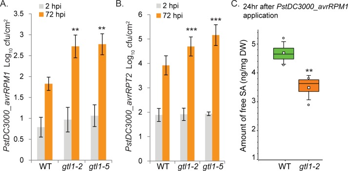 Fig 6