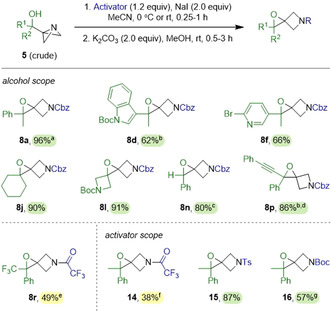 Scheme 5