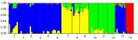 Figure 7