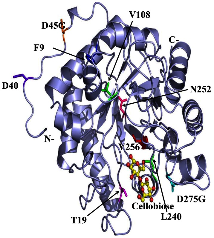 Figure 6