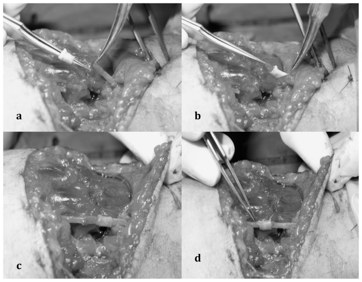 Fig. 1 a, b, c, d