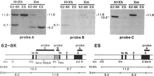 graphic file with name pnas01044-0354-a.jpg