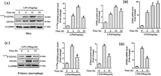 FIGURE 1