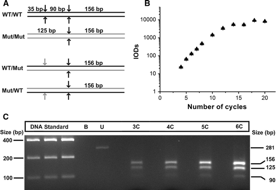 Fig. 1