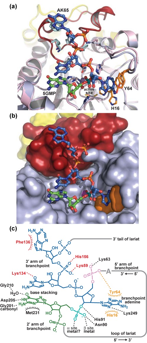 Figure 5.