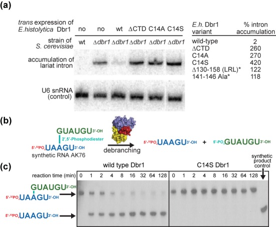 Figure 3.