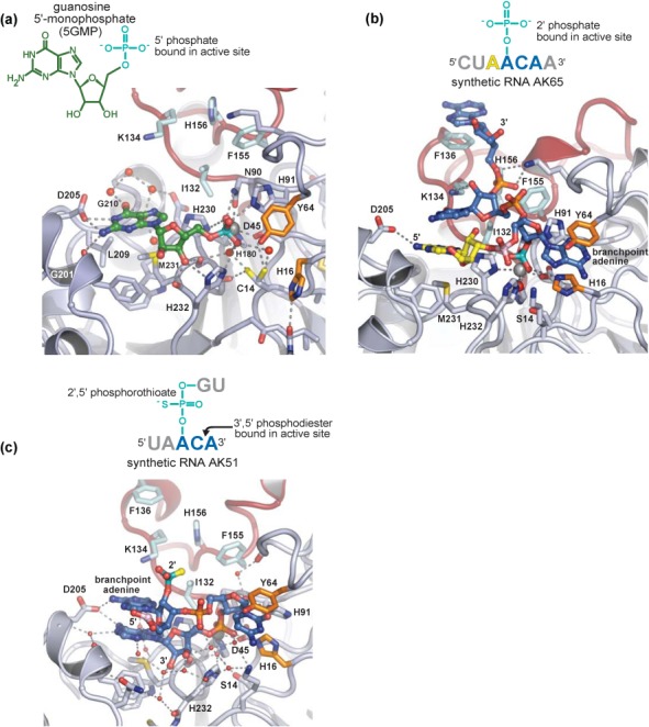 Figure 4.