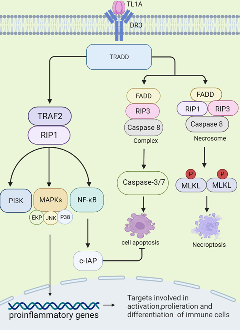 Figure 1