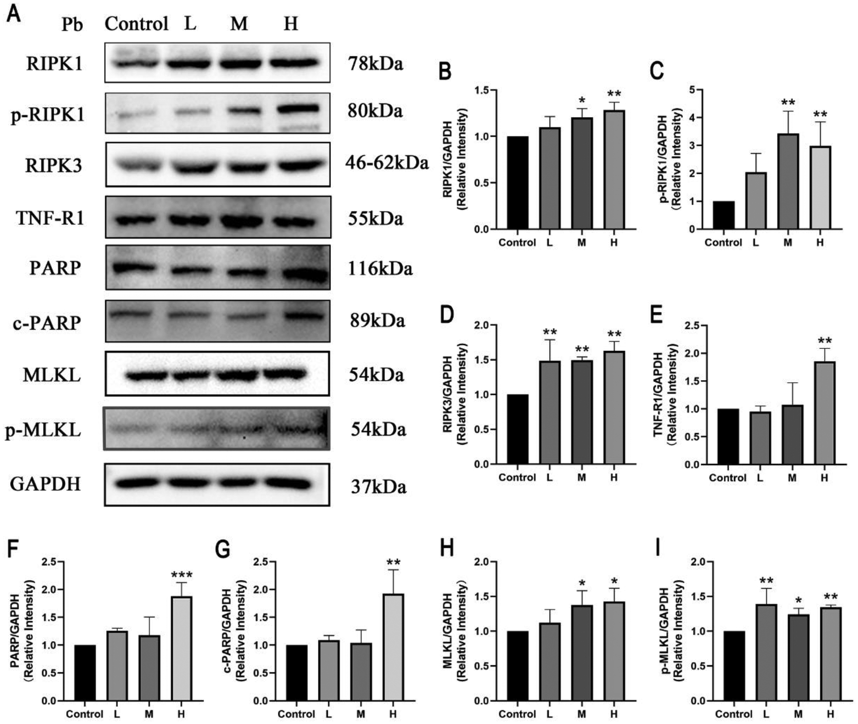 Fig 2.