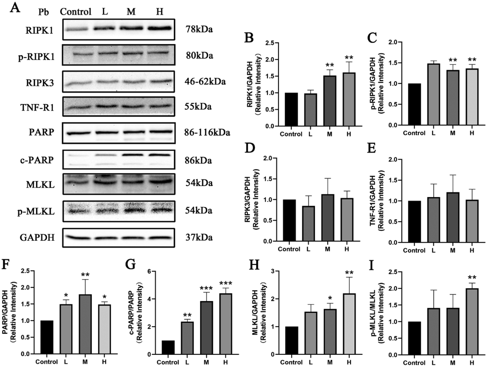 Fig 3.