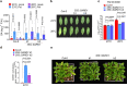 Extended Data Fig. 6