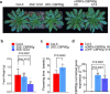 Extended Data Fig. 10