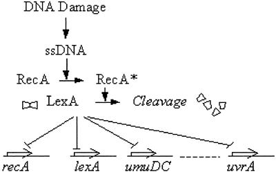 Fig 2.