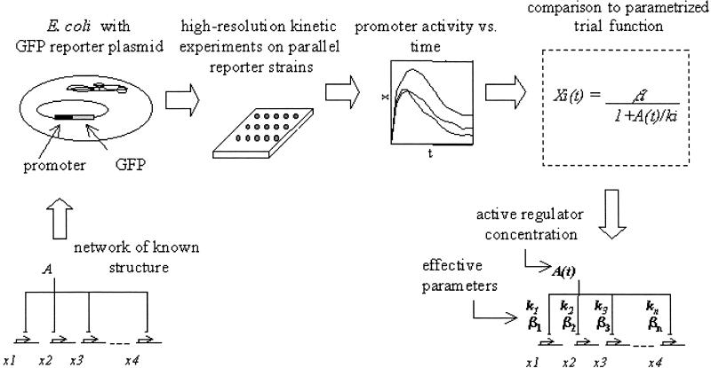 Fig 1.