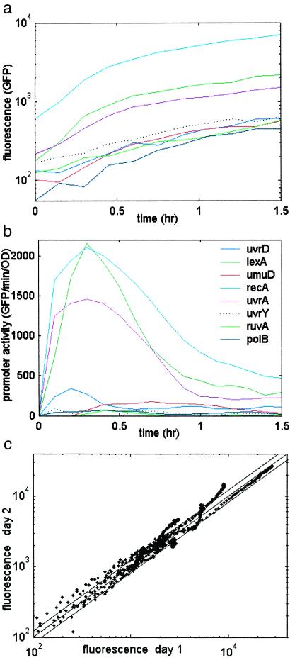 Fig 3.