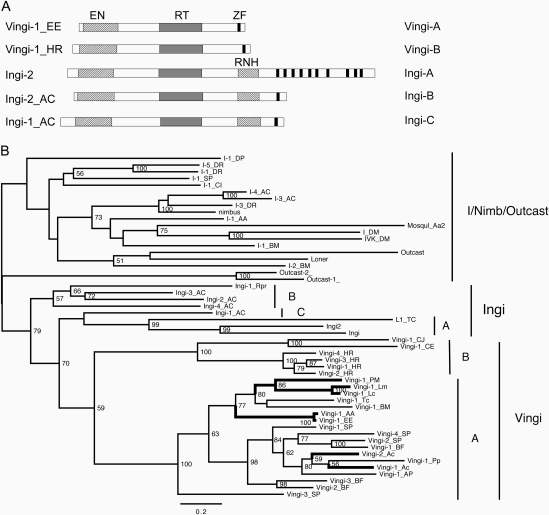 FIG. 1