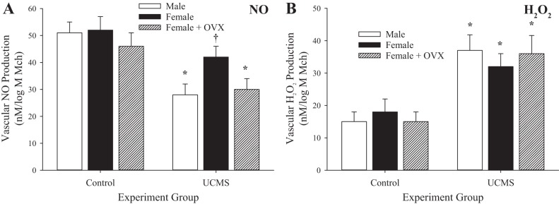 Fig. 13.