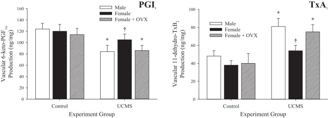 Fig. 12.