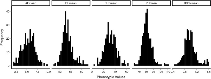 Fig. 1