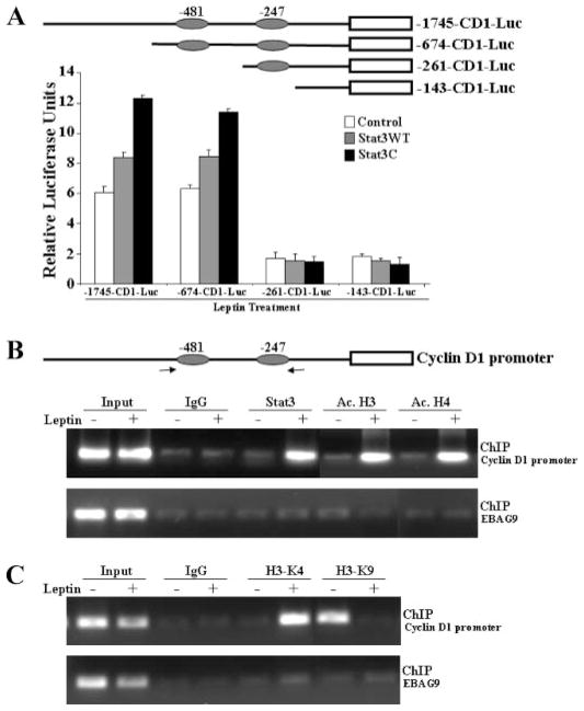 FIGURE 3