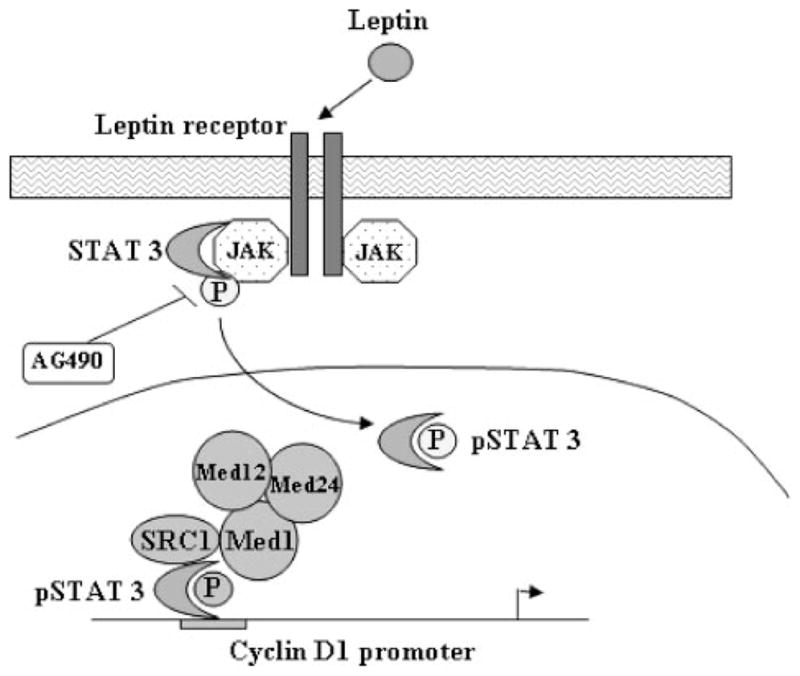 FIGURE 7