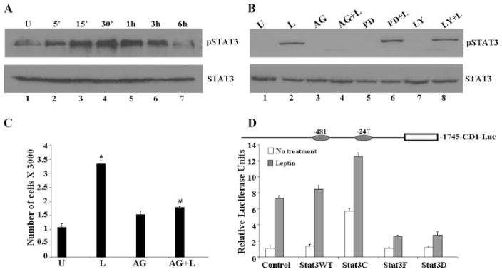 FIGURE 2