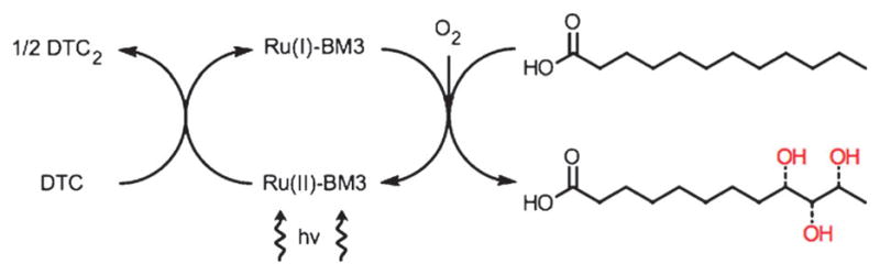 Scheme 1