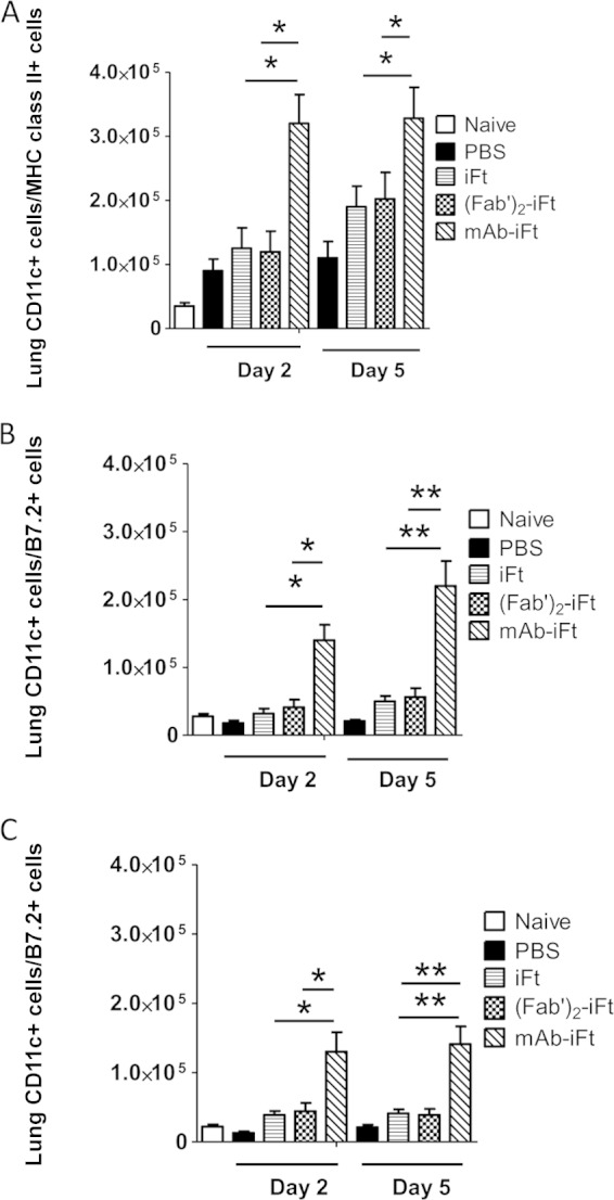 FIG 3