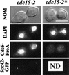 FIG. 6